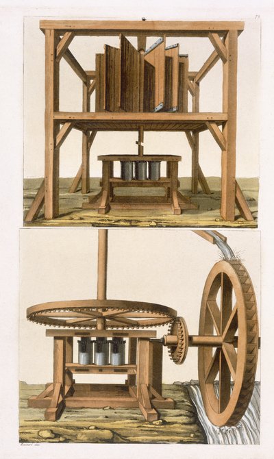 سوغارميلس ، جزر الأنتيل (نقش الألوان) بواسطة فيتوريو رينيري